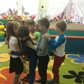 IMG 3526